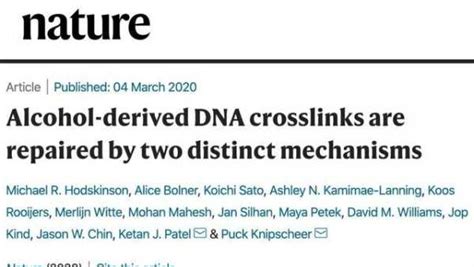 《nature》：身體怎麼修復喝酒造成的永久dna損傷？