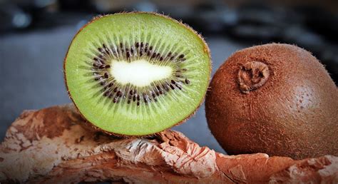 Cara Menanam Kiwi Dari Biji Kampustani