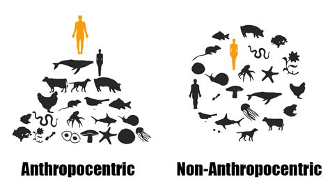 Cnap — Center For Non Anthropocentric Play Noroff University College