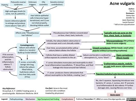 Acne Vulgaris: Pathogenesis and Clinical Findings | Calgary Guide