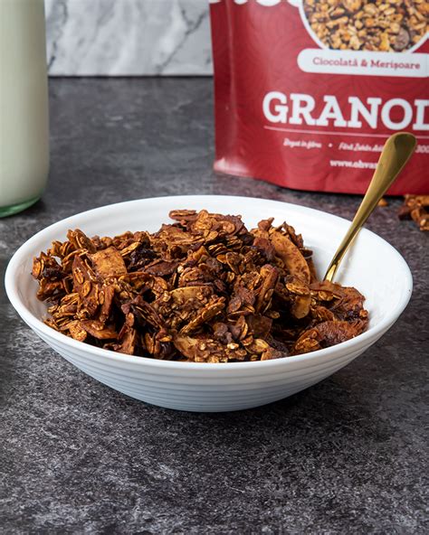 Granola Cu Ciocolata Si Merisoare Ohvaz