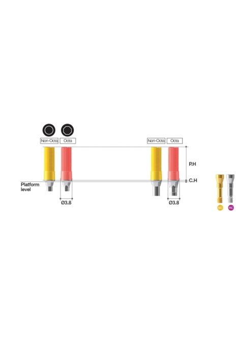 Megagen Bd Healing Abutment Anatomic Type Incisor Pat Kovo