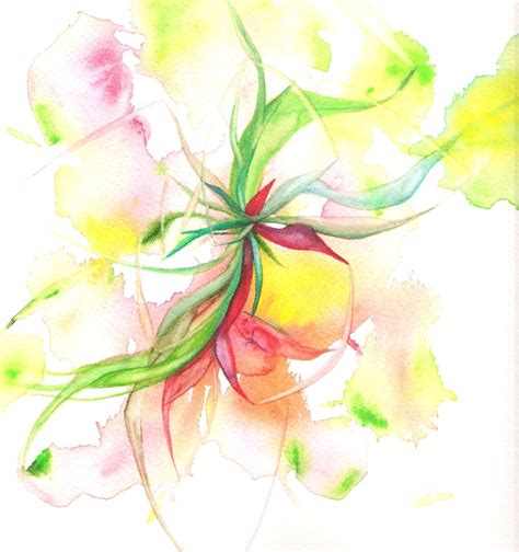 Watercolors By Linda Miller Painting Visual Watercolor