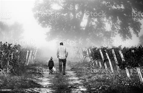 Father And Son Walking Away From Each Other