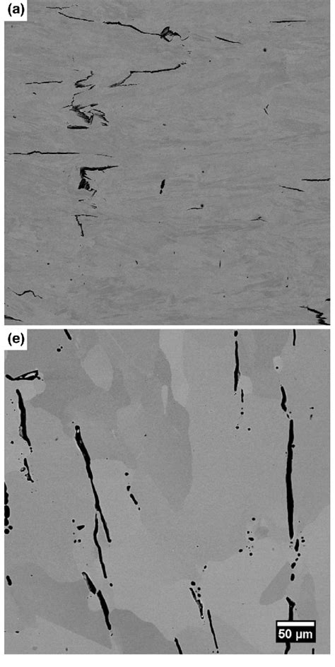 Sem Micrographs Of L Pbf Mod Specimen In The A And E Conditions