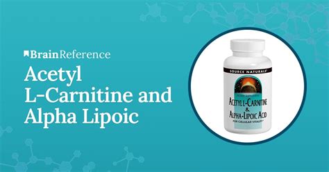 Acetyl L Carnitine And Alpha Lipoic Acid Review 7 Facts You Need To Know