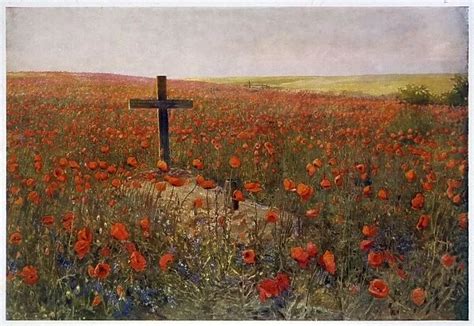 Ww C Poppy Field Our Beautiful Wall Art And Photo Gifts