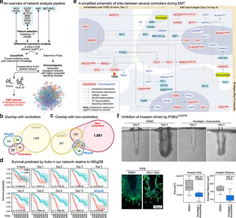 A Mechanistic Model Of Emt Identifies Druggable Vulnerabilities A