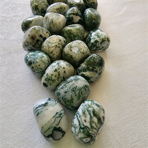 Tree Agate Tumble Stone Lovely Sunshine Crystals