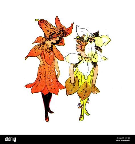 Tiger Lily Illustration Hi Res Stock Photography And Images Alamy