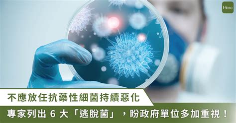 抗藥性細菌在2050年恐奪命千萬人命！專家示警六大「逃脫菌」 醫藥健康 生活 Nownews今日新聞