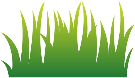 Grass 1193356 PNG