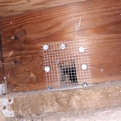 Rodent Proofing Control In Contra Costa County Call Now