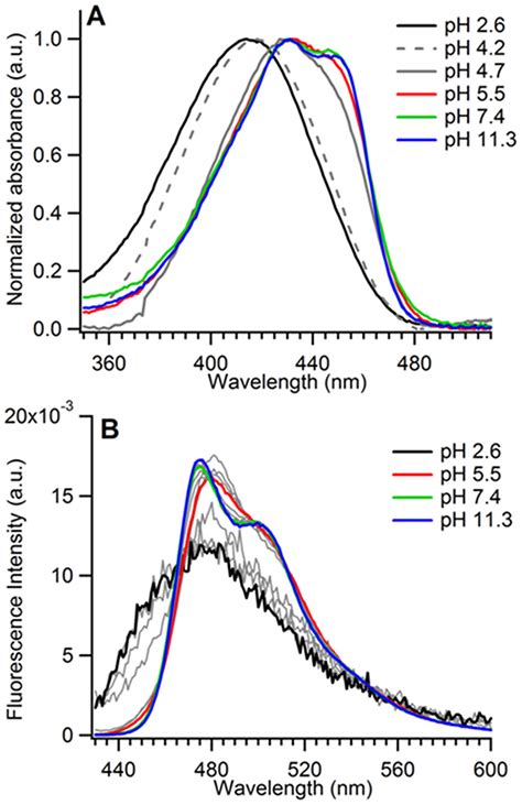 PH Dependence Of The Spectral Properties Of Purified ECFP A