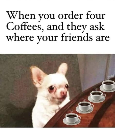 10 Funny Memes About Coffee That Will Give You Joy