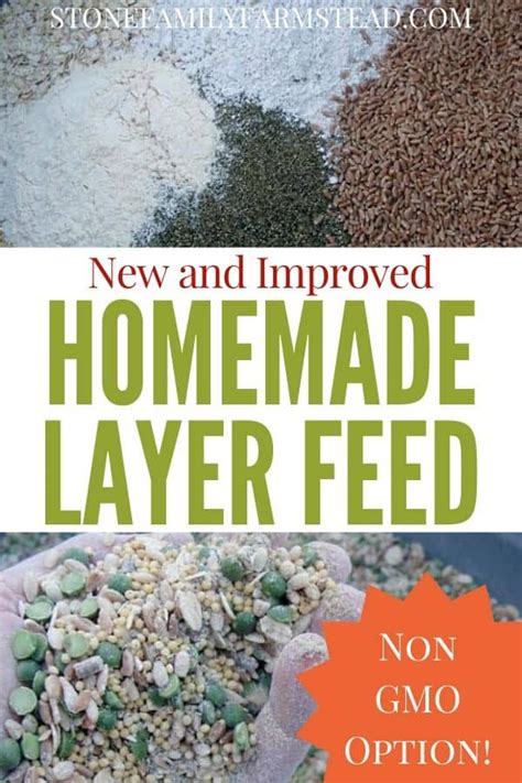 How To Make Chicken Feed For Layers Nutrient Rich And Non Gmo