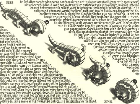 Curl Up, 1951 - M.C. Escher - WikiArt.org