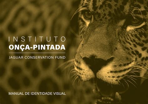 Identidade Visual Instituto On A Pintada On Behance