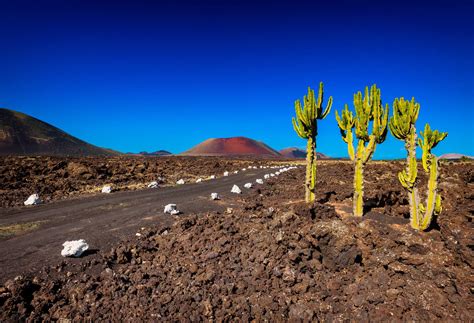 Islas Canarias En Invierno Todo Lo Que Debes Saber Kayak