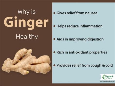 Top 15 Proven Benefits Of Ginger Organic Facts