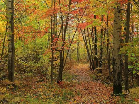North Bay Ontario 2024 Best Places To Visit Tripadvisor