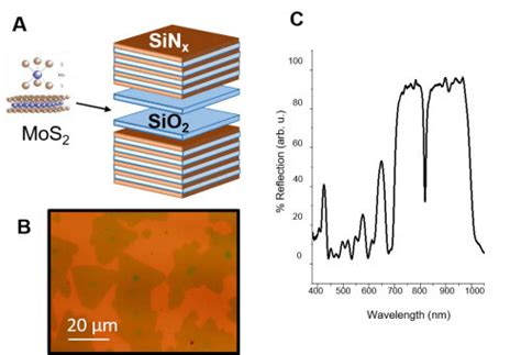 Linear Characterization Of Dbr Based Microcavity With Embedded Mos2