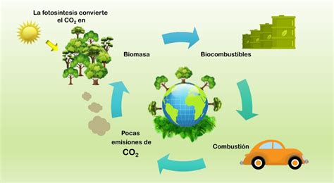 Biodiésel una alternativa cada vez más real para sustituir