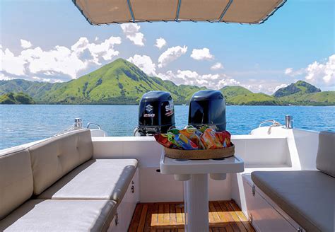 Full Day Private Speedboat Tour To Komodo Komodo Touristic