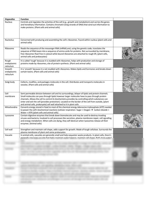 Stage 1 Biology Organelles Notes Biology Year 11 Sace Thinkswap