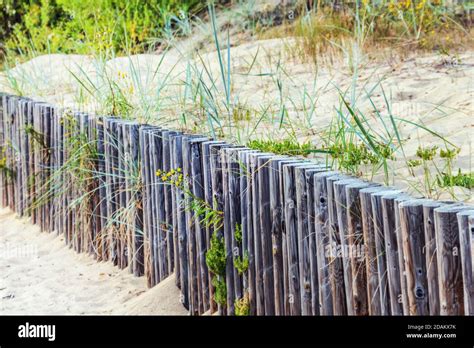 Beach Fence Sand Dunes Dune Grass Sunny Dune Sand High Resolution Stock