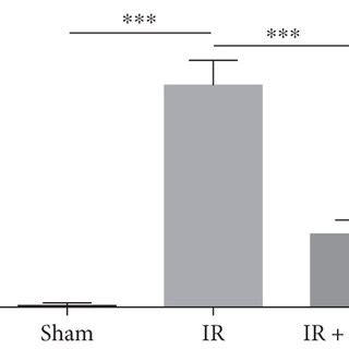 Treatment With Rhbnp Protects The Heart From Ir Injury A B Ir Model