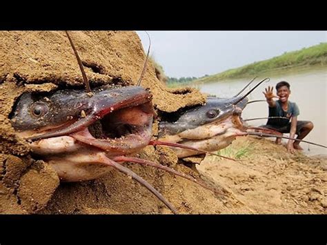 Amazing Daily Life Fishing Video Underground River Dry Hill Lots Of Big