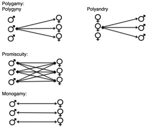 Animal Mating Systems The Biology Of Sex And Death Bio 1220