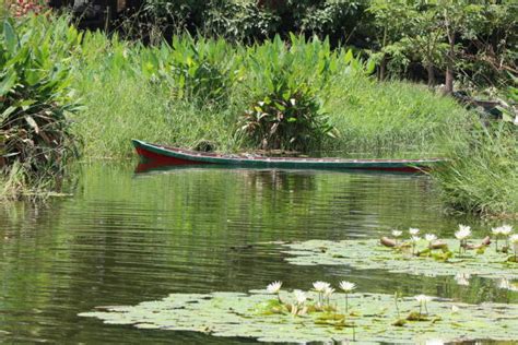 Lake Nicaragua Stock Photos Pictures And Royalty Free Images Istock