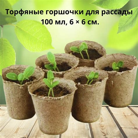 Технологический горшок для рассады — купить по низкой цене на Яндекс ...