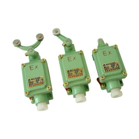 Bzx Series Explosion Proof Limit Switch Iic Buy Explosion Proof