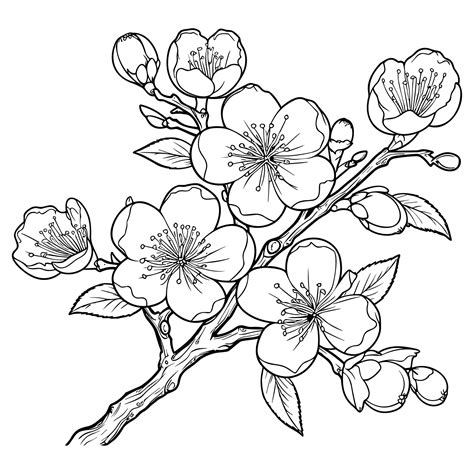 cherry flower draw 2