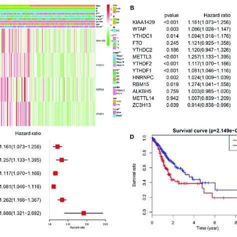 Differential Clinicopathological Features And Overall Survival Of Hcc Download Scientific