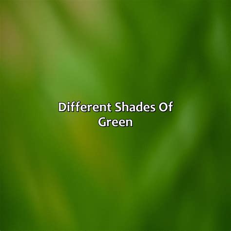 Different Shades Of Nude Colorscombo