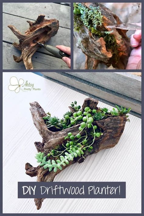 Diy Driftwood Planter Made With Cedar Succulent Planter Tutorial