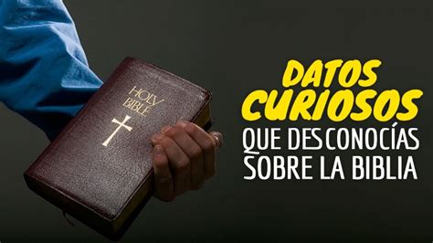 Curiosidades Fascinantes De La Biblia