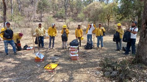 Refuerzan Brigadas Para Combatir Incendios Forestales En Michoac N