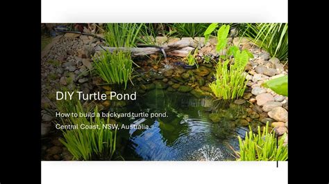 Diy Turtle Pond Youtube