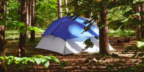 Dome Tent Buying Guide - Camping Canopy Guide - know more about buying ...