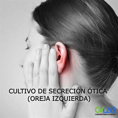 Cultivo De Semen Espermocultivo Ovlab O V Laboratorios