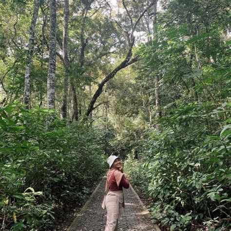 Objek Wisata Pangandaran Dengan Keindahan Alam Yang Siap Bikin Healing