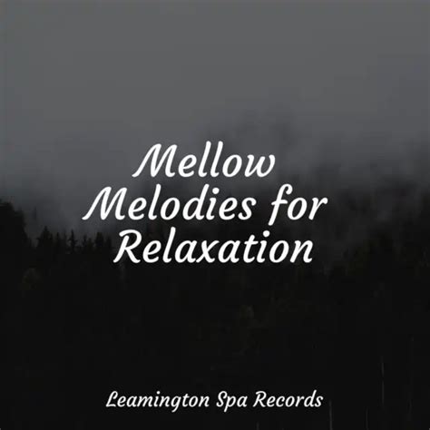 Mellow Melodies For Relaxation By Meditation And Stress Relief Therapy