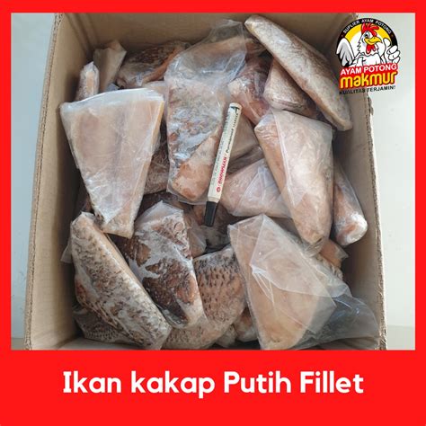 Jual Ikan Kakap Putih Fillet Baramundi Shopee Indonesia