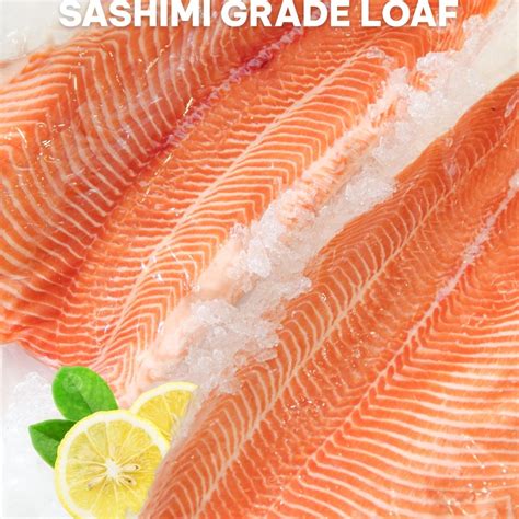 Salmon Tasmanian Fresh Shasimi Grade Ikan Salmon Tasmanian Fresh