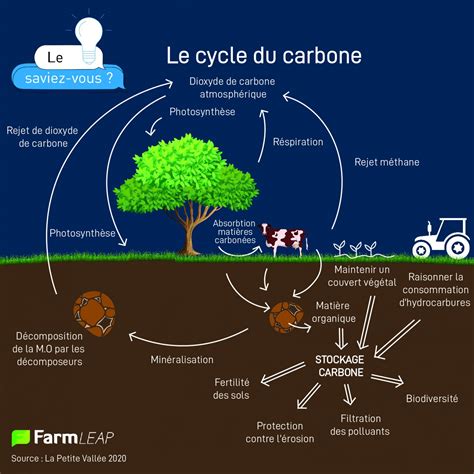 Le Cycle Du Carbone En Agriculture Tout Comprendre Farmleap